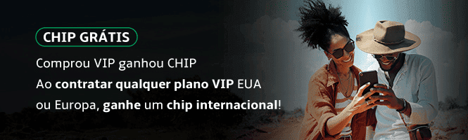 Chip