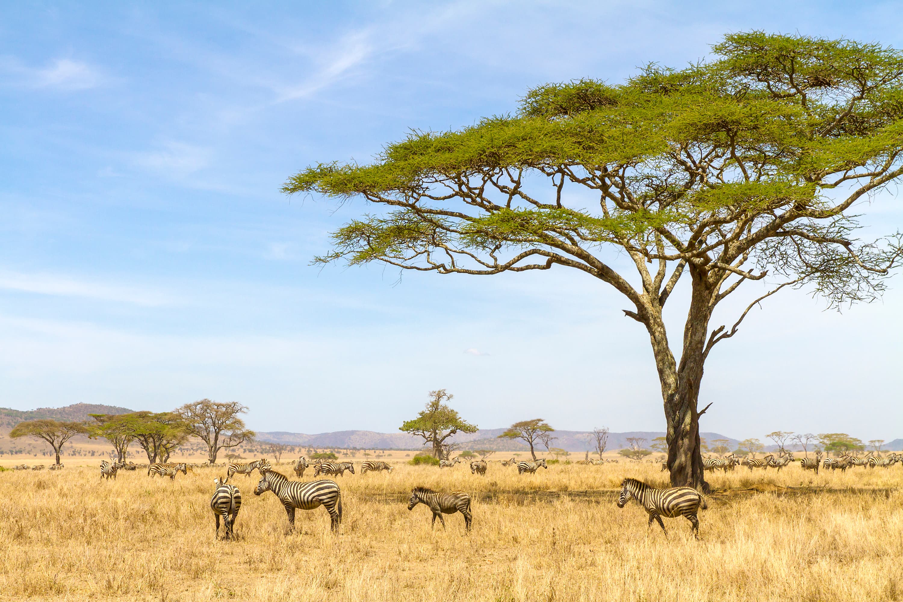 Seguro Viagem África Seguro Viagem África