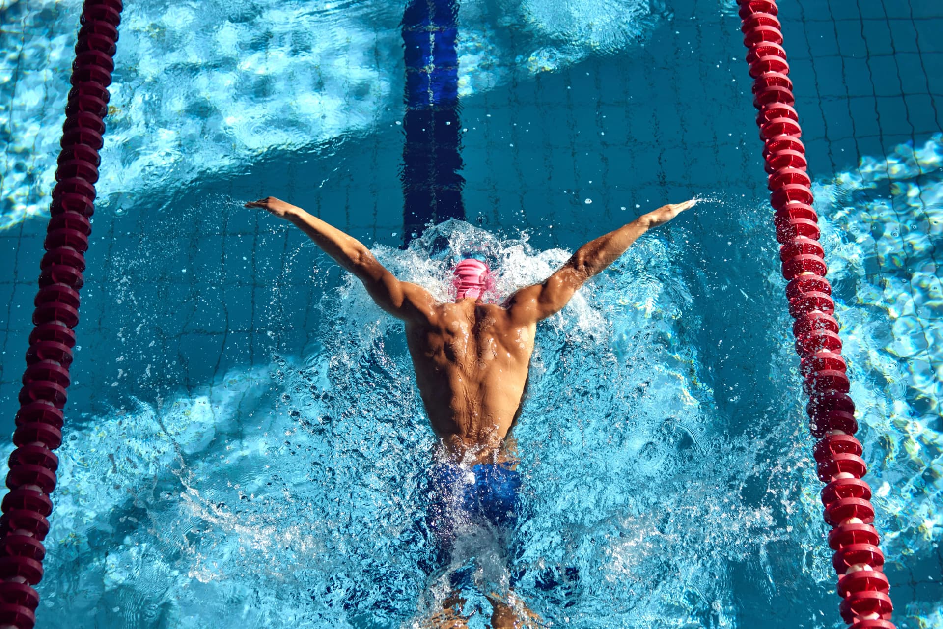 Viagens Esportivas Natação Viagens Esportivas Natação